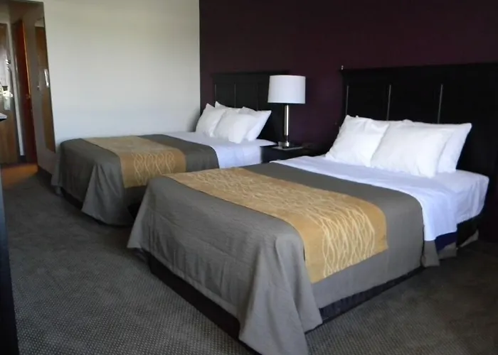 Boarders Inn & Suites By Cobblestone Hotels - Munising